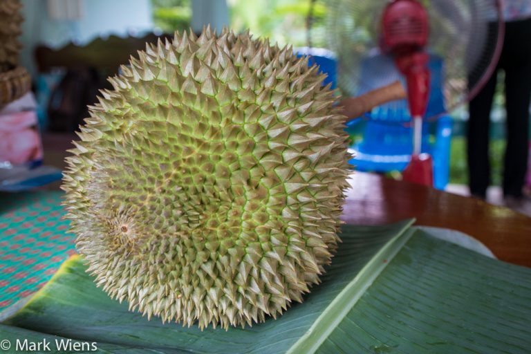 產量大增 泰將保障榴蓮輸華