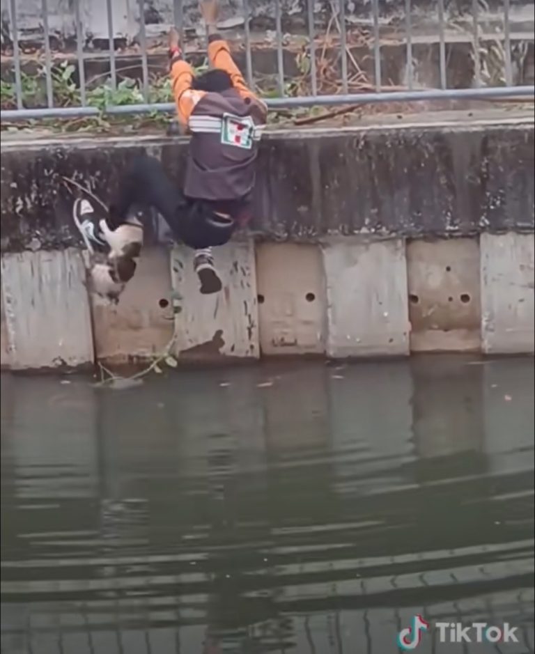 領略泰愛心 佛教國家人心向善 落水小貓獲救