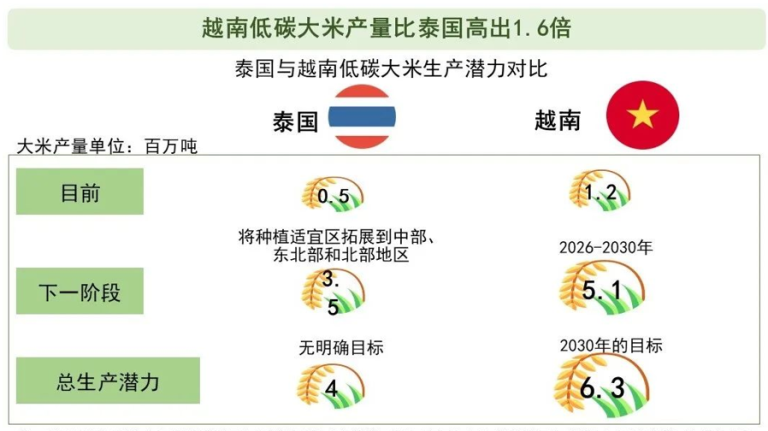低碳大米落後越南 泰國需加速轉型