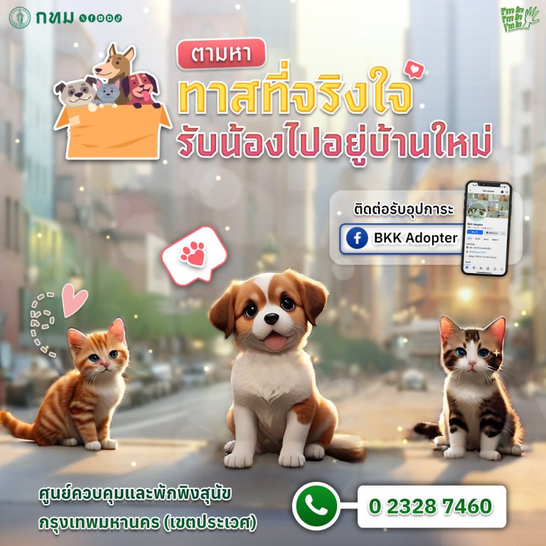曼谷流浪犬收容中心加裝隔音牆
