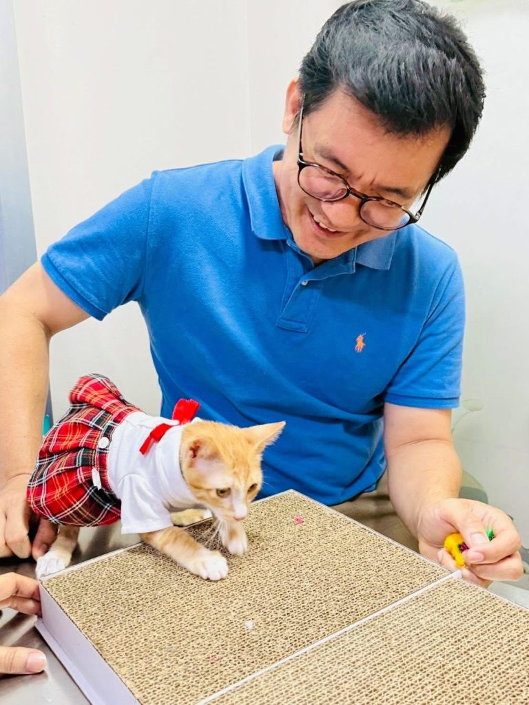 橘貓「小審計」已找到新家