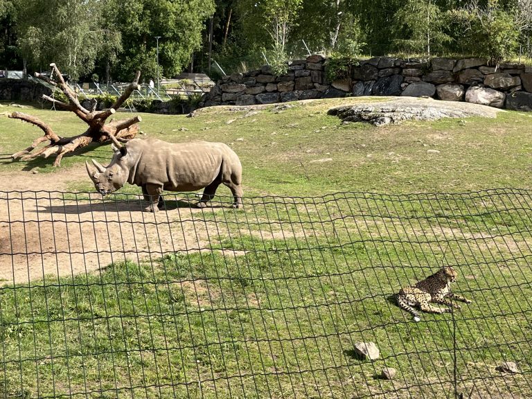 拼經濟 泰國重點打造「未來動物園」