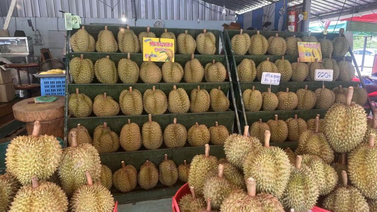 中國同意實行泰國榴槤24小時海關查驗