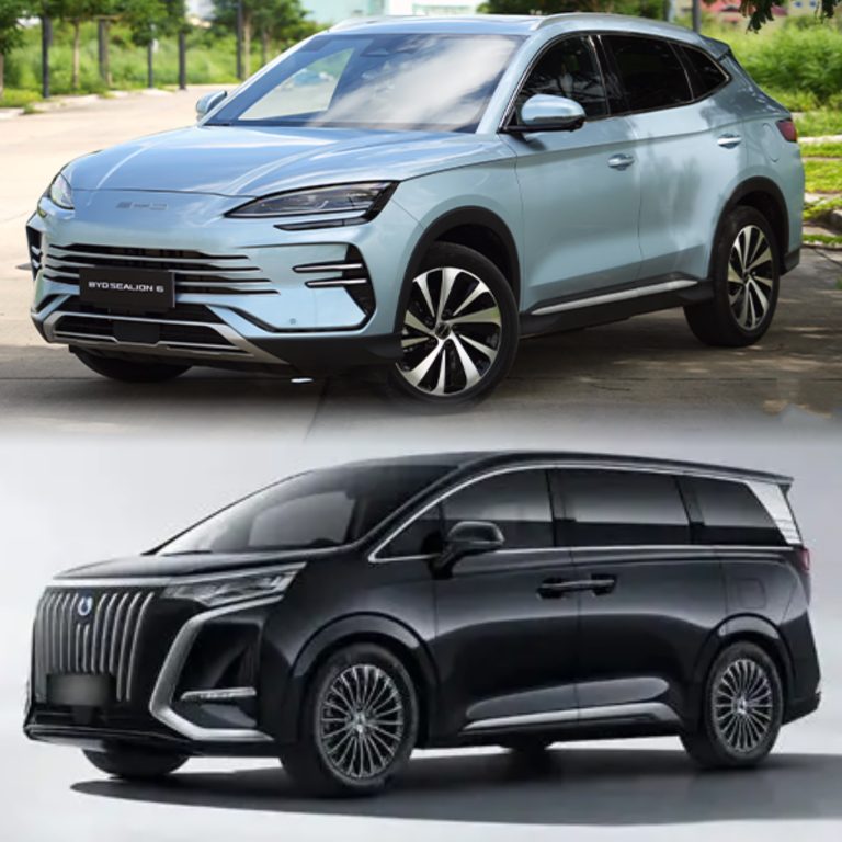 BYD與DENZA成績亮眼 躋身註冊量前3