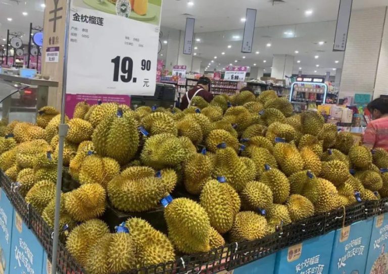 泰國榴槤出口中國 前8個月近900萬噸