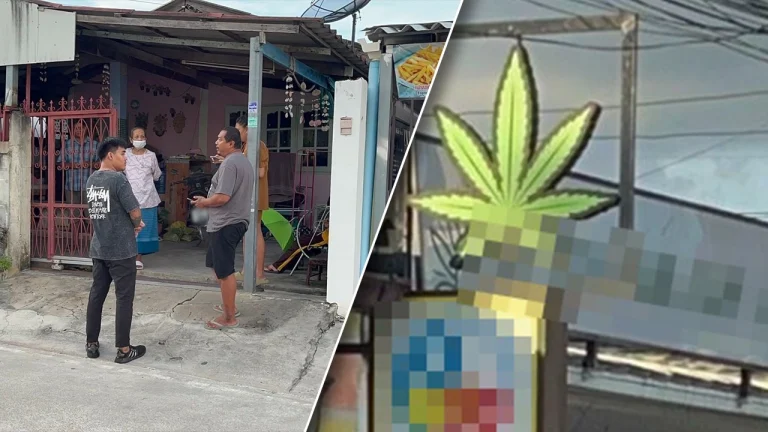 居民不堪其味 大麻長時間擾民難解決