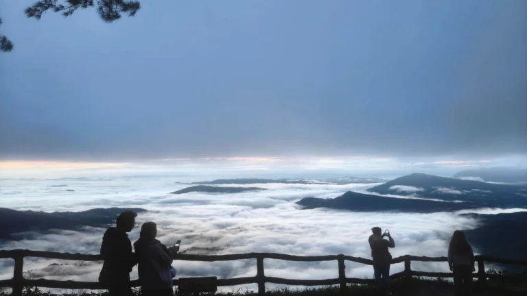 登山頂觀雲海 感受16度清涼空氣