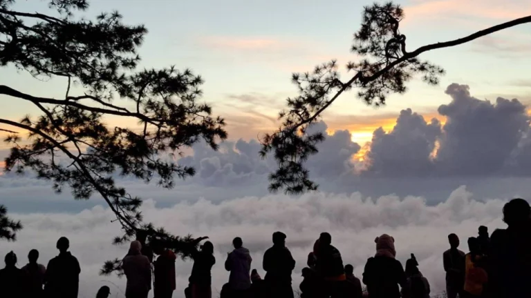 拼旅遊 Phu Kradung國家公園開山