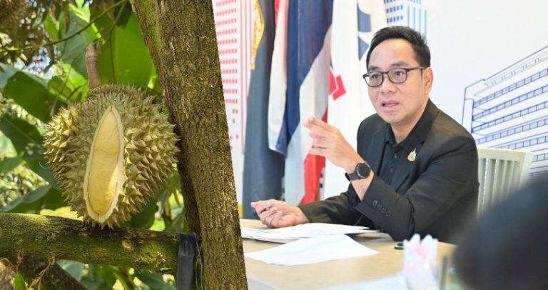 貿易廳：中國仍信賴泰國榴蓮品質