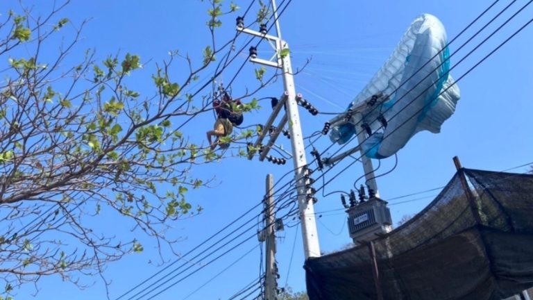 美籍滑翔傘運動員掛上電線桿 險些送命