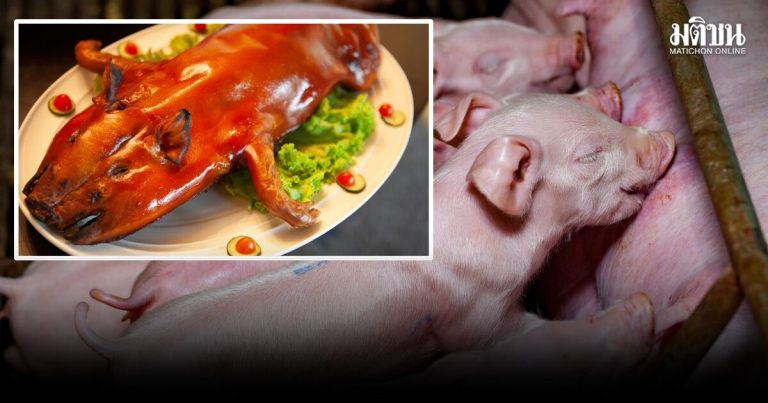 春節將至 肉品售價趨於穩定