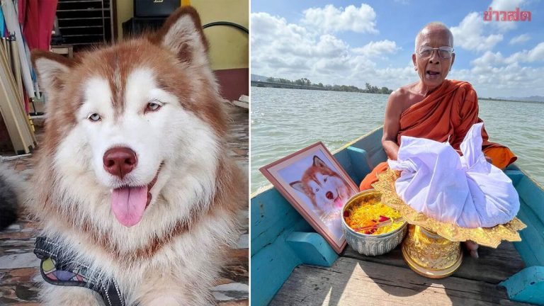 皇恩庇護莫莉 主人為愛犬舉行火化儀式