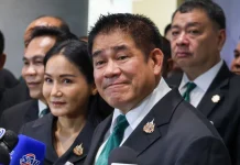 坦瑪納:Channapat個人違法 與政黨無關