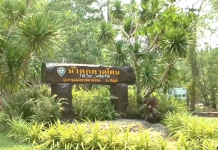 塔敦瀑布5年蟬聯宋干節最受歡迎景點榜首