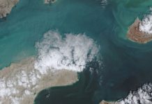 阿曼助泰國貨船駛離霍爾木茲海峽