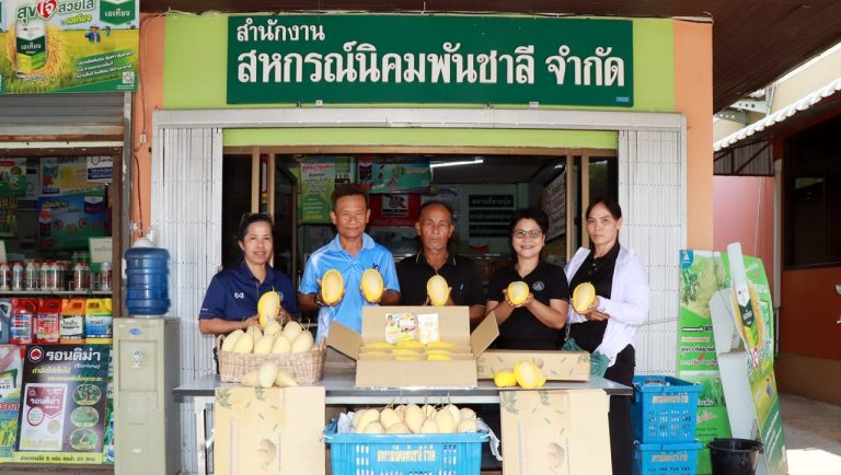 彭世洛府合作社借網路促銷GI芒果