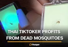 泰國網紅靠制作蚊子鑰匙鏈月入過萬