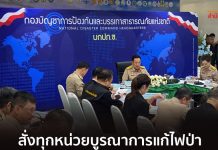 阿努庭清邁指示滅山火、控PM2.5