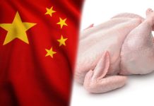 泰中批准新版泰國雞肉出口議定書