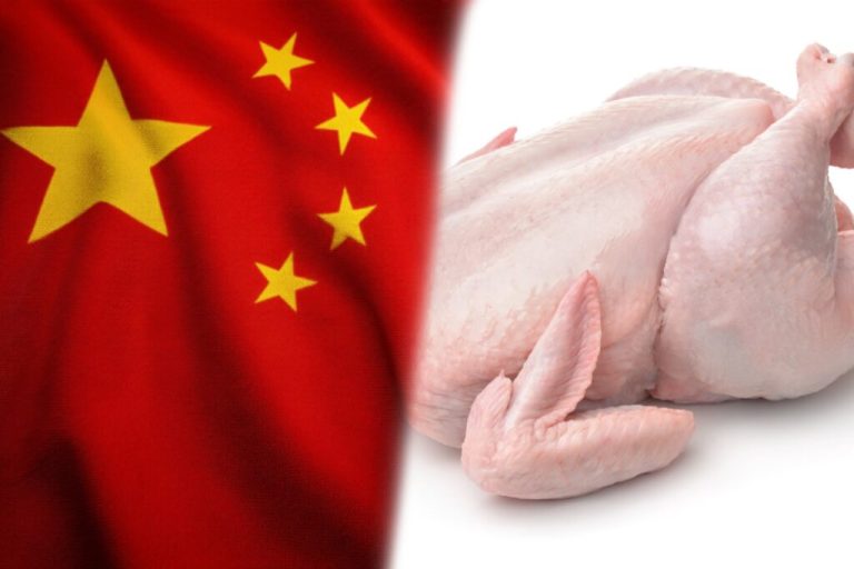 泰中批准新版泰國雞肉出口議定書