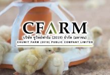 CFARM首季淨利同比增長137.07%