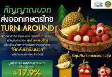 泰國農產品出口4月實現增長