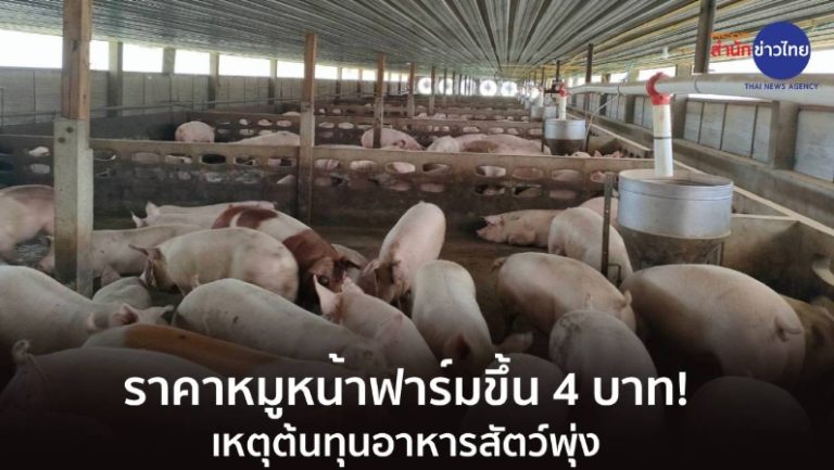 生豬出欄價 每公斤上調4銖