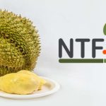 榴蓮旺季到 券商看好NTF第2、3季度業績