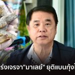泰釋放善意 解決大馬停止泰蝦進口問題