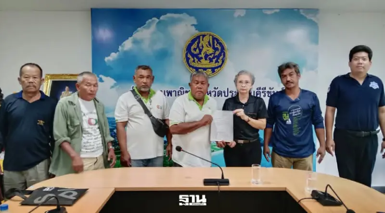 椰子暴跌至6銖 農民呼籲政府救市
