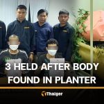 屍體藏花盆 曼谷發生惡性凶殺案