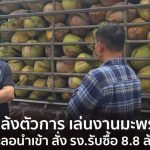 烹飪用椰子滯銷 商業部出手