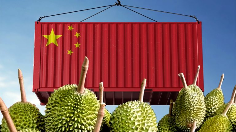 榴槤價跌蟲害難控 出口嚴重受阻