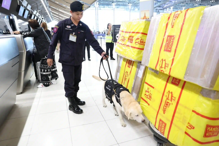 AOT強化機場禁毒 警犬K-9協同安檢