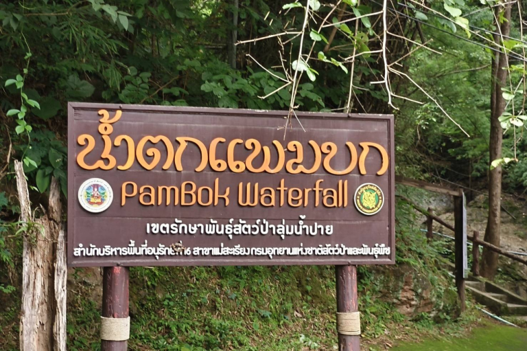 夜豐頌府生態徒步路線即將開放