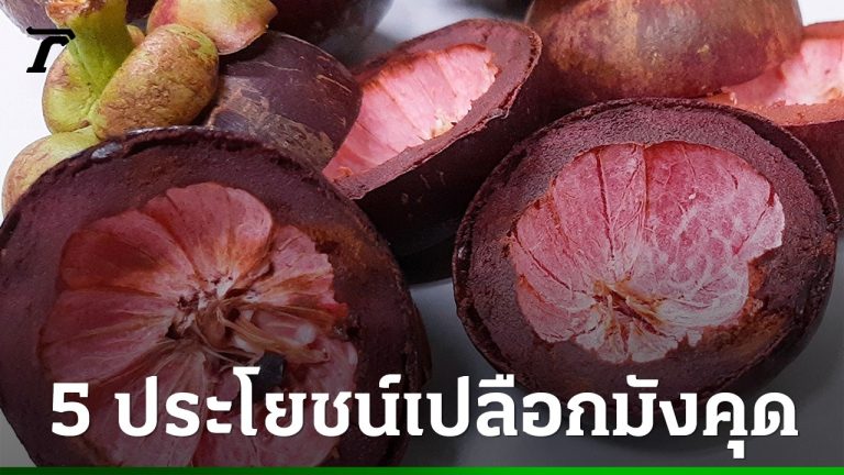 山竹果皮5大功效一次看懂
