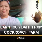 女子養蟑螂做魚餌月入超10萬