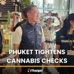 普吉府大規模吊銷大麻店執照
