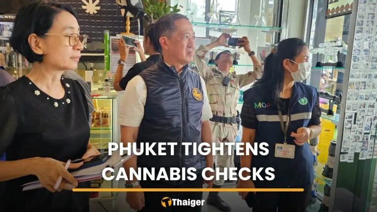 普吉府大規模吊銷大麻店執照