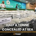 中國香港查獲535公斤泰國大麻