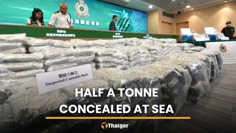 香港查獲535公斤泰國大麻