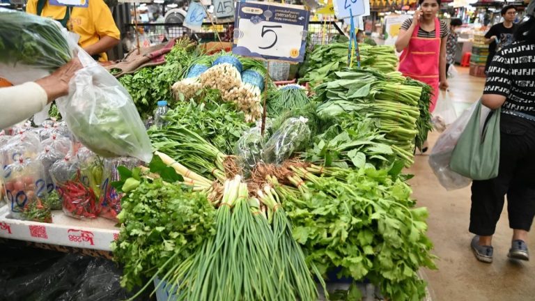雨季蔬菜價格開始回降