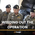 曼谷豪宅查獲逾5噸大麻