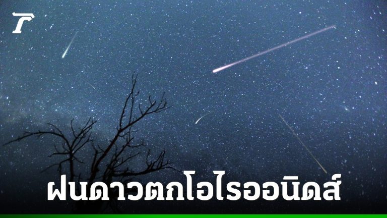今晚帶TA去看獵戶座流星雨