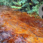 人民黨呼籲緊急處理巴真化學品洩漏事件